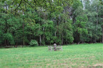markesteen Leppinkpaal